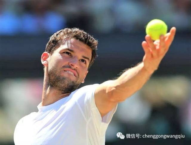 队记：杨瀚森赢得波特兰球迷喜爱