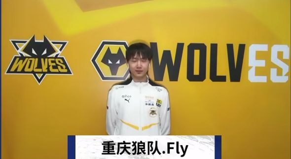 模型